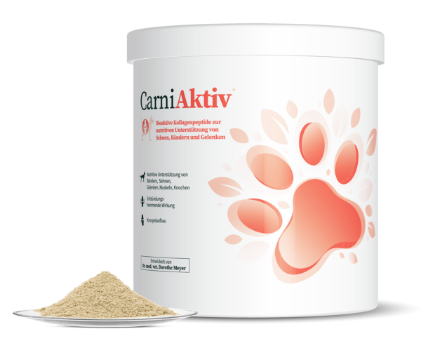 CarniAktiv Gelenkspulver