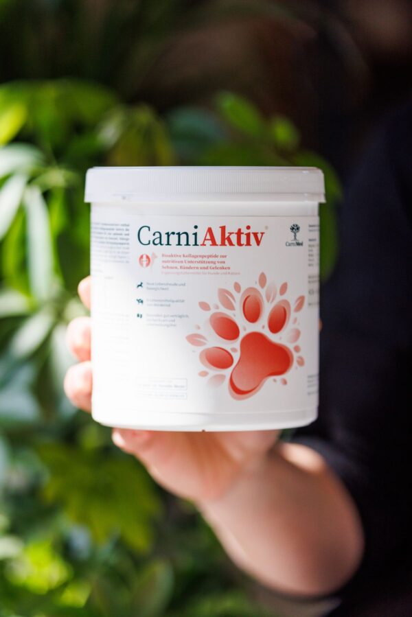 CarniAktiv Gelenkspulver – Bild 3