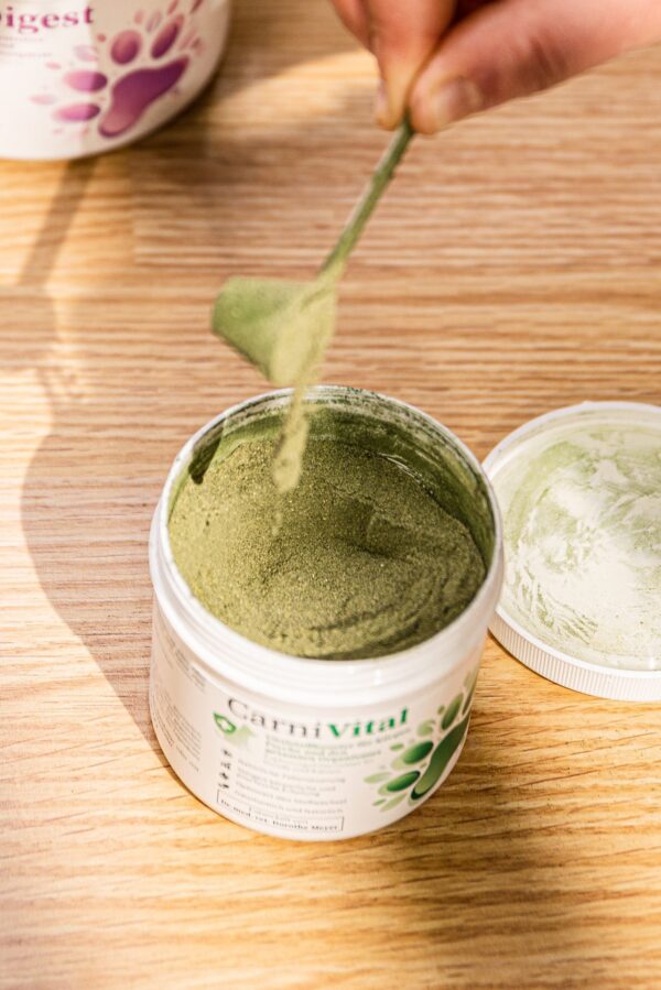 CarniVital - Vitalstoffbooster für Körper und Psyche 100g – Bild 2