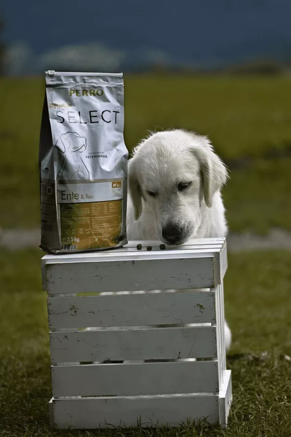 PERRO Select Ente & Reis – Bild 2